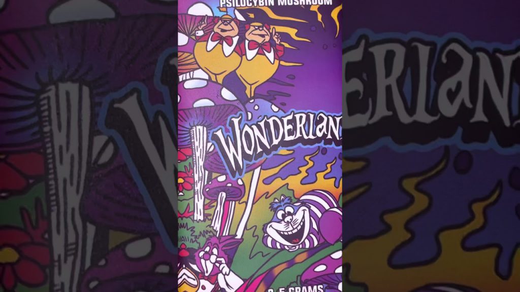 wonderland mushroom chocolate bars review