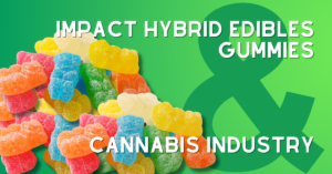 What are the effects of 500mg edibles